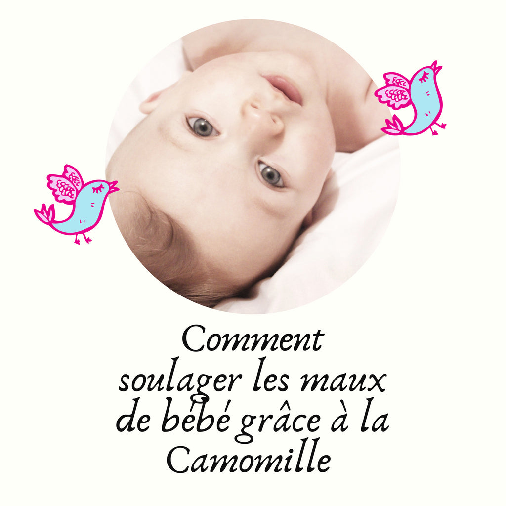 Comment soulager les maux de bébé grâce à la camomille